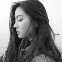 云开官方网站入口